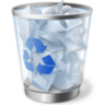 Windows recycle bin